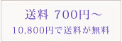 10,500円以上のお買い上げで送料が無料！